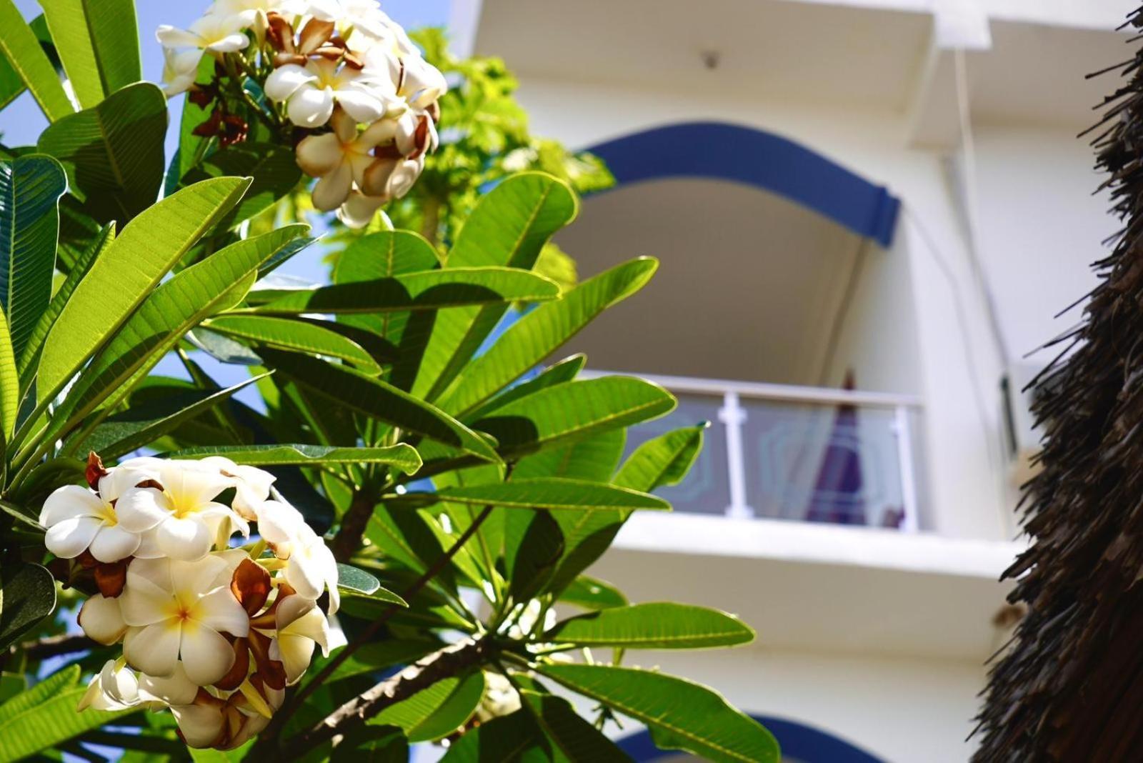Daeli Apartment Kendwa Exterior foto
